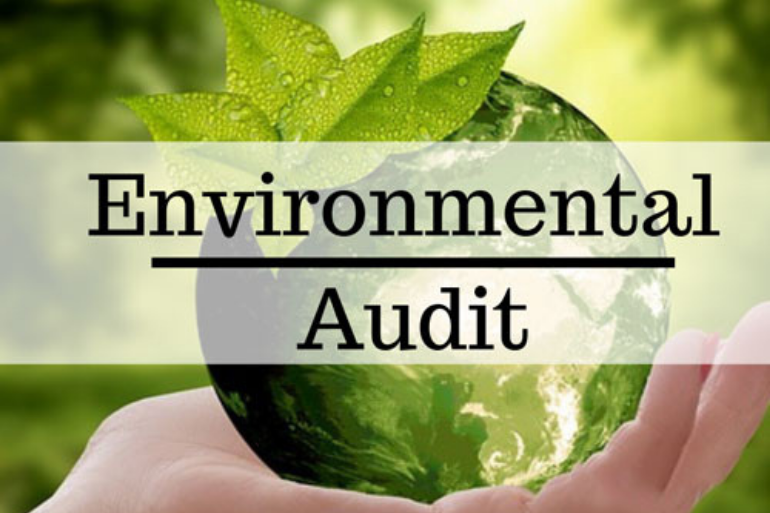 environmental audit
