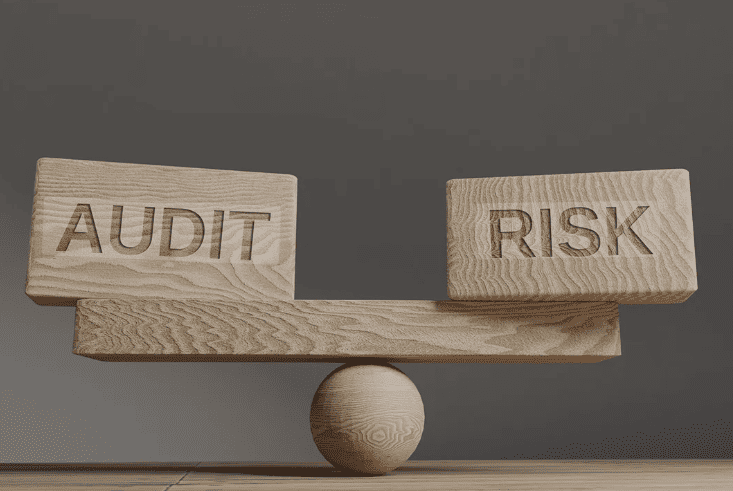 occupational risk audit