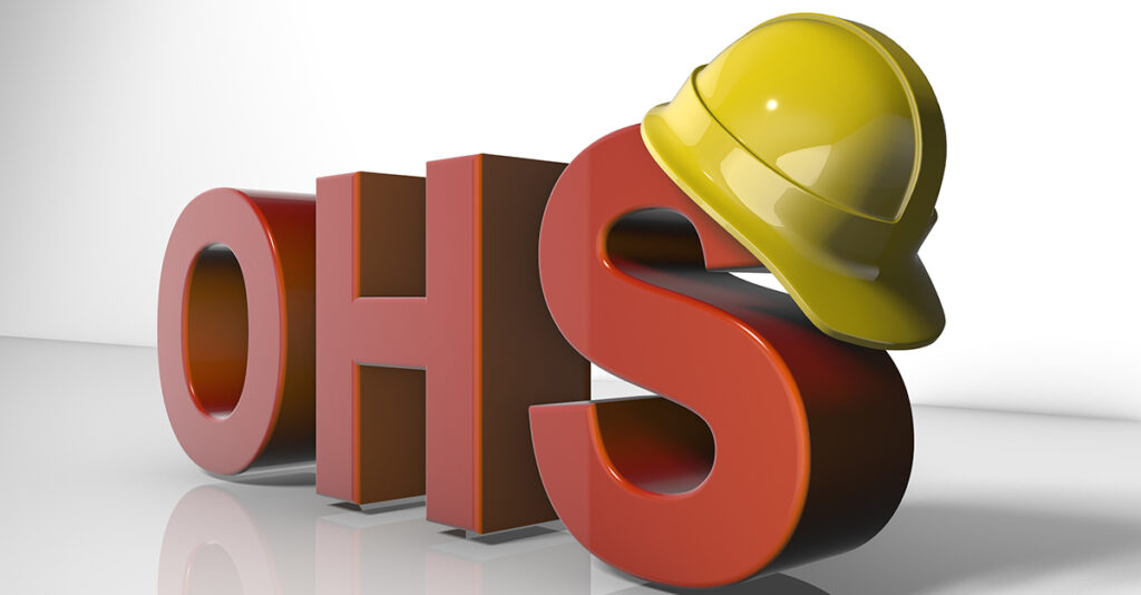 occupational health and safety audit process