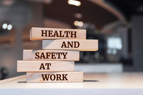 health and safety audit